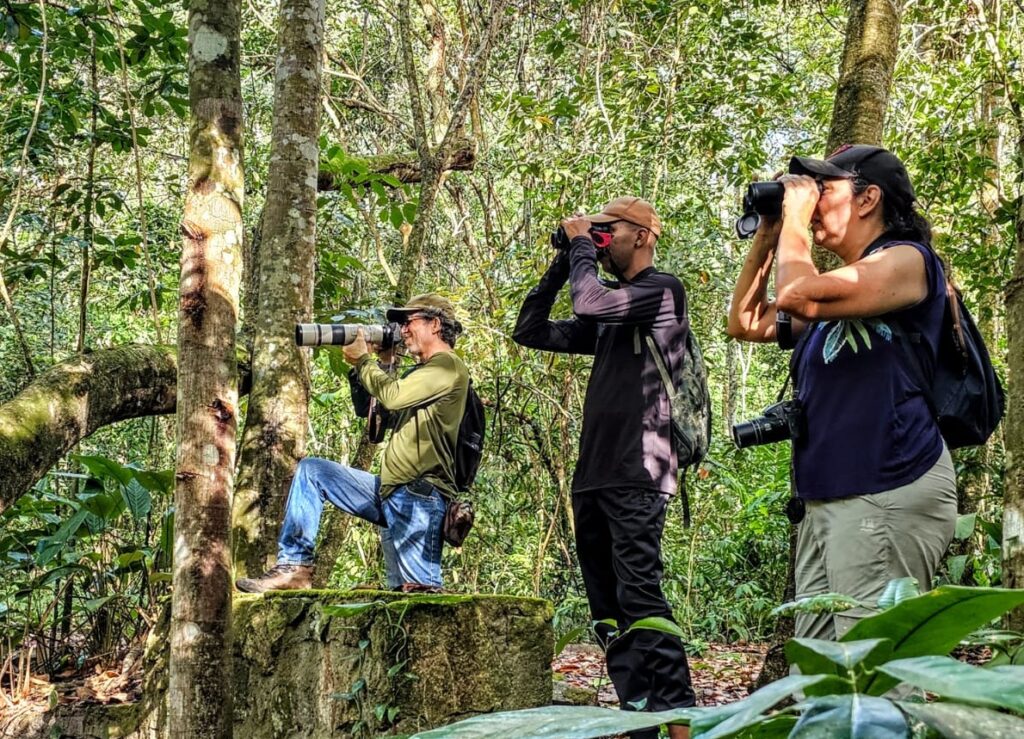 Observadores de aves
