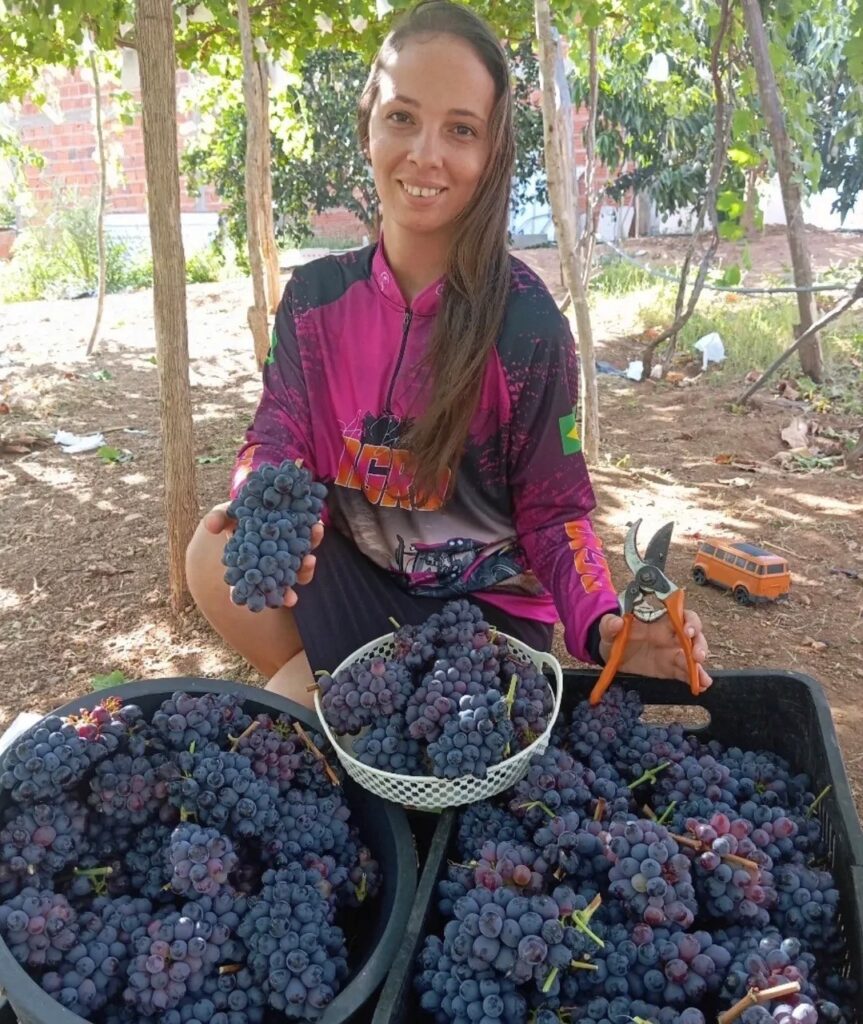 Priscila Ferreira de Lima, de Nova Olinda, construiu um sistema produtivo diversificado a partir de um espaço mínimo