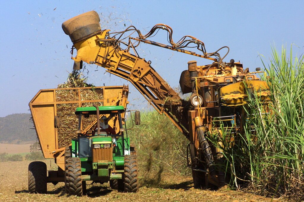 Produção de cana-de-açúcar em Alagoas