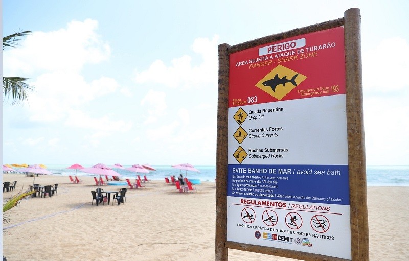 CEMIT substitui placas de alerta de risco de incidentes com tubarões na orla do Grande Recife