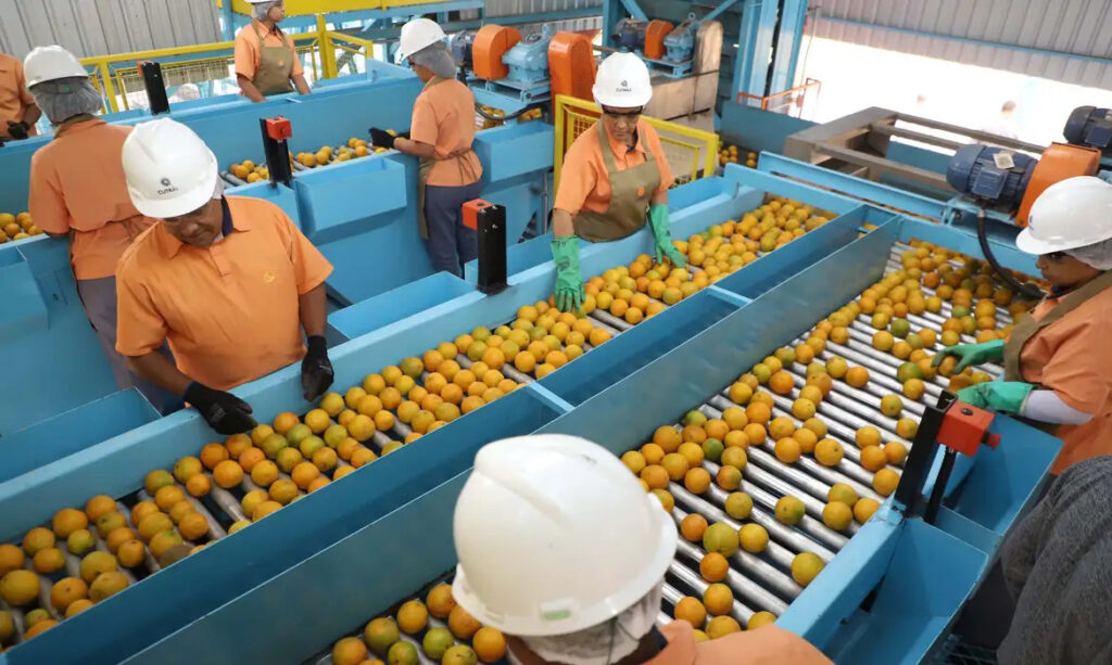 exportações Estados Unidos laranja
