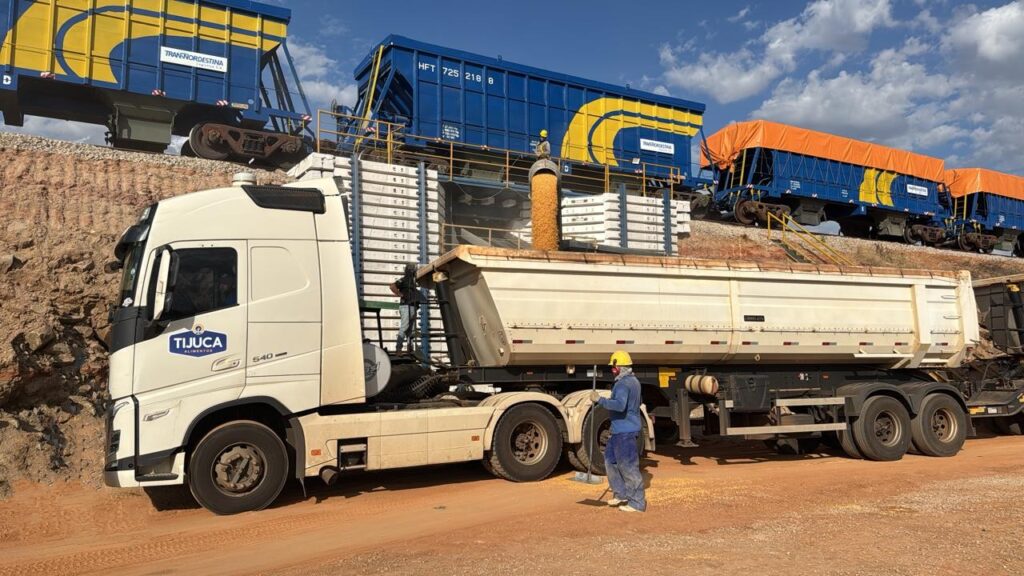 Ferrovia Transnordestina transporte de carga de sorgo Tijuca Alimentos
