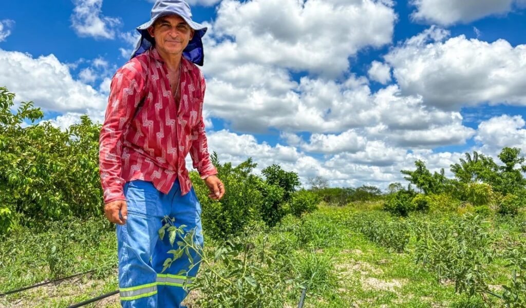 Agricultura e desenvolvimento regional tiveram emendas vetadas no Orçamento 2026