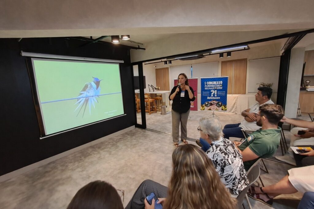 Avistasse reunião