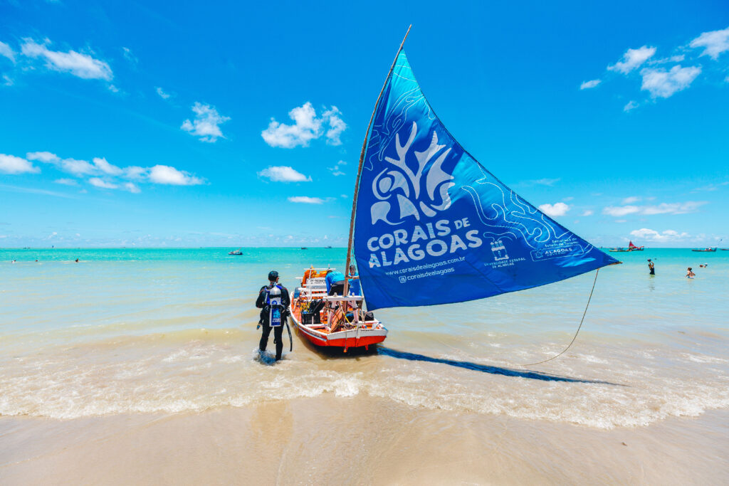 Projeto preservação de corais em Alagoas 