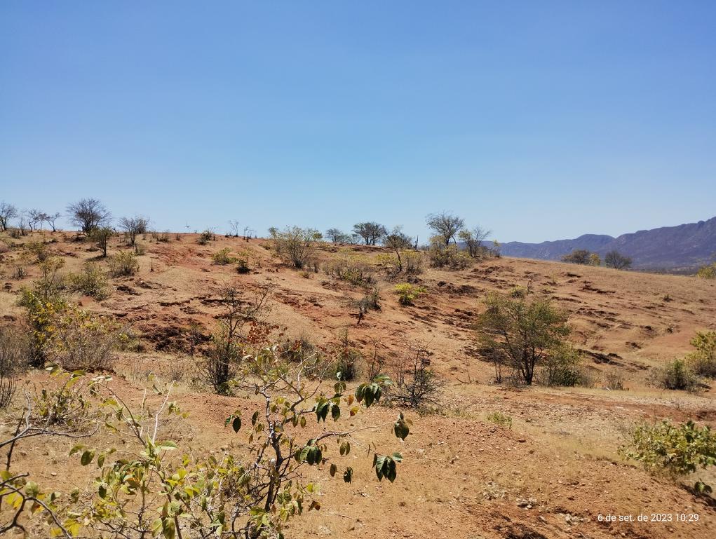 Desertificação no Ceará