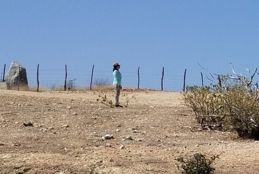 Desertificação no Ceará