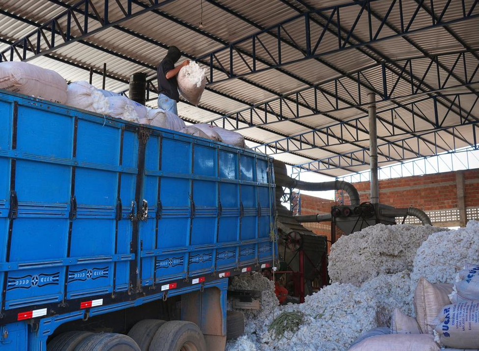 Transporte do algodão produzido no Cariri cearense é feito atualmente pelo modal rodoviário. Foto: Yas Fonseca/MIDR