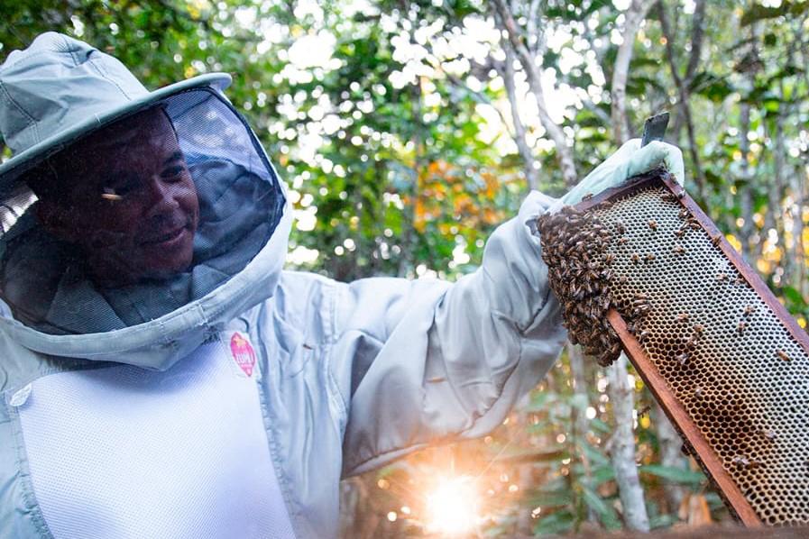 Jean Ferreira, apicultura Zumbi dos Palmares, Alagoas