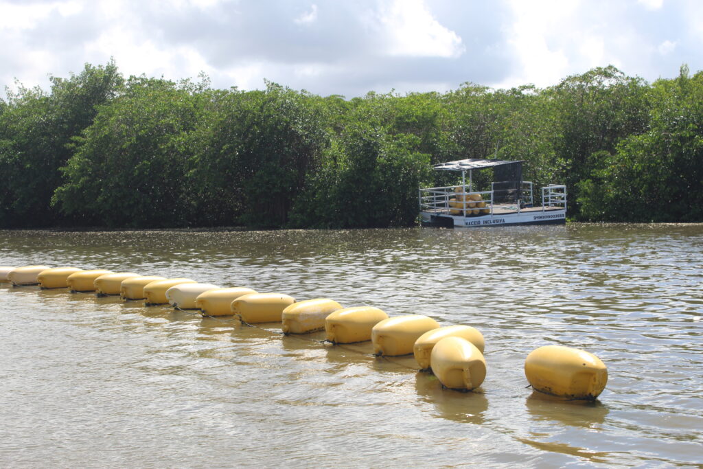 Instituto IABS desenvolve projeto de cultivo de sururu na superfície das lagoas