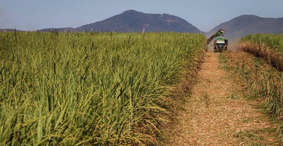 Alagoas e Pernambuco defendem divisão de cota preferencial no acordo UE-Mercosul