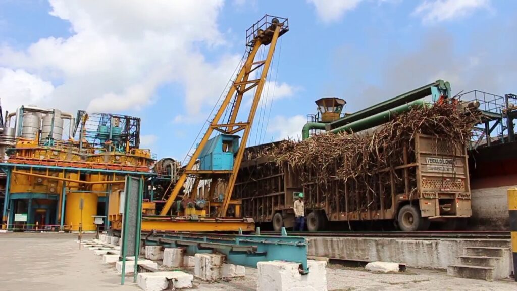 Produção de açúcar e etanol em Alagoas