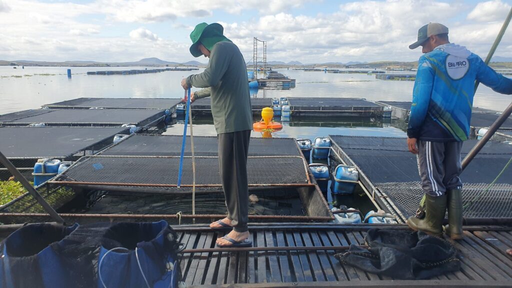 Tanques-rede instalados no Castanhão: experimento da UFC testou probiótico na ração durante as fases de alevinagem e engorda, com resultados iniciais promissores - Foto: Divulgação
