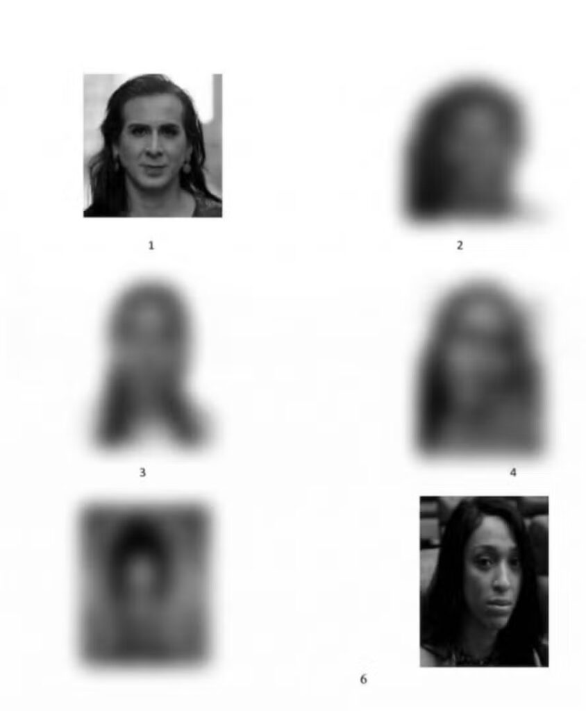 Álbum exibido à vítima continha seis fotografias, entre elas imagens das deputadas, pessoas públicas e sem relação com o fato investigado no Recife. Foto: Divulgação