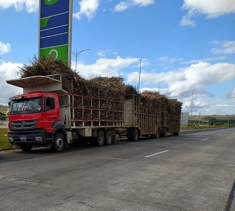 Comissão de Justiça aprova isenção temporária de IPVA para fornecedores de cana-de-açúcar