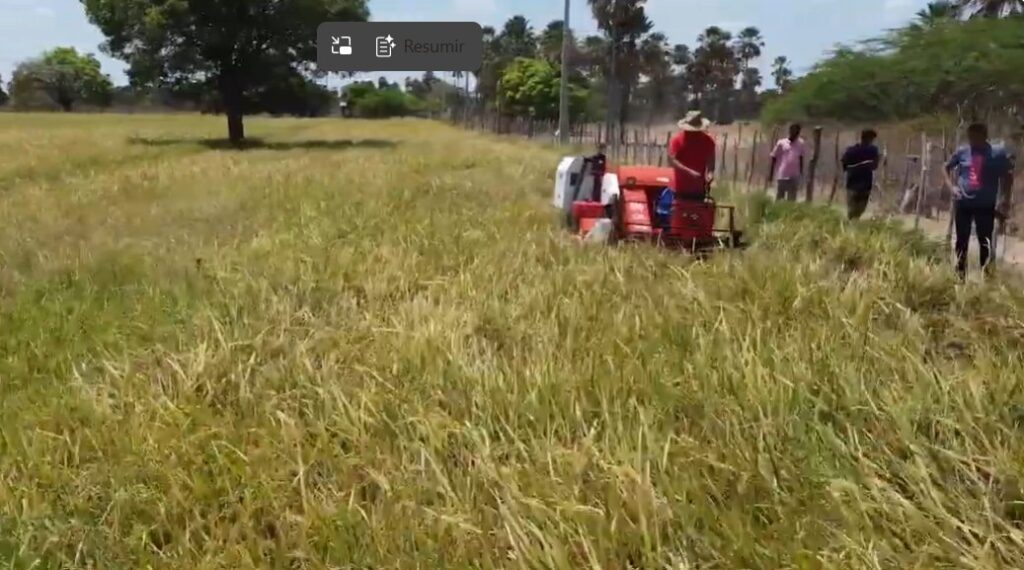 Parceria com a China quebra barreira da mecanização agrícola no Nordeste Apodi RN