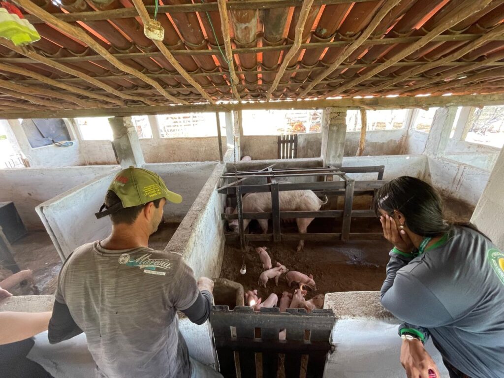 O projeto capacitou os criadores de 20 propriedades para usar as fezes dos animais para fazer o biogás. Foto: Sebrae/Divulgação