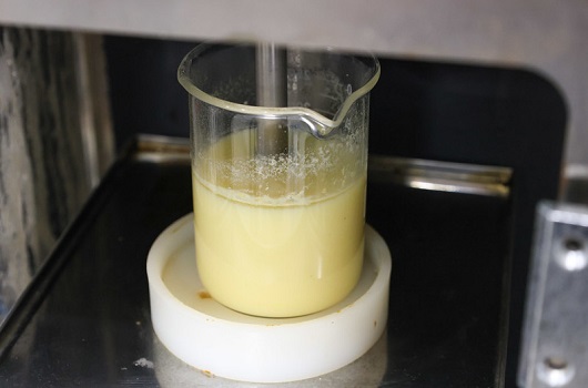 As tecnologias a frio preservam vários compostos sensíveis que se perderiam no processamento industrial comum, como a vitamina C. Foto: Viktor Braga /Secom UFC