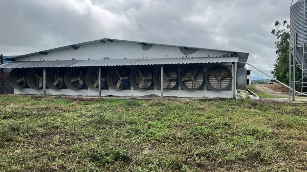 Aviário em Jupi-PE