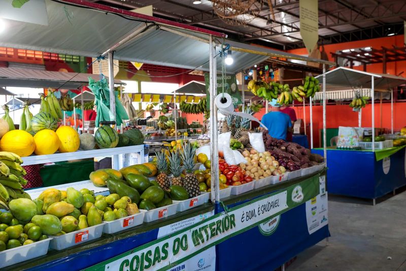Agricultura familiar no RN