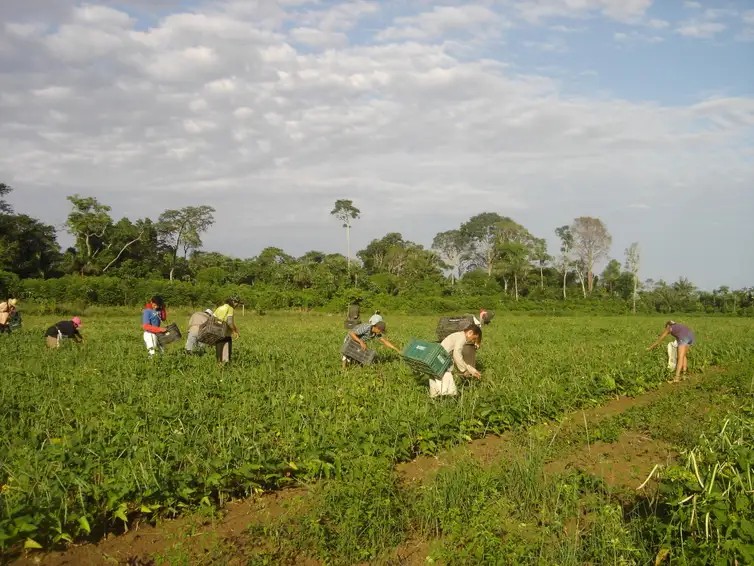 Fim da escala 6x1 na agricultura