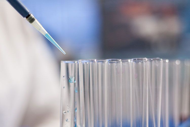 Pesquisa nanoparticulas de selênio Ufal