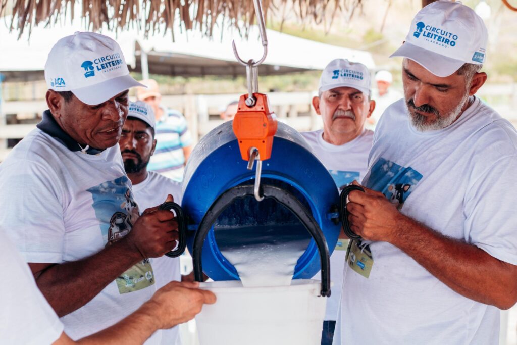 Produção de leite na Bacia Leiteira de Alagoas