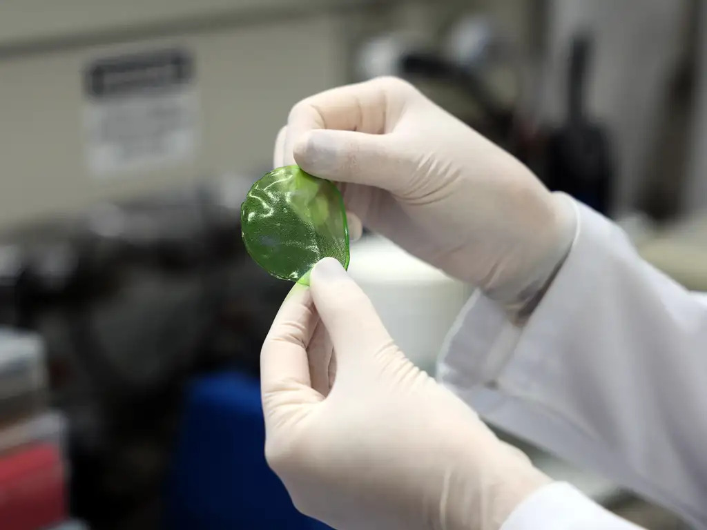 O laboratório de nanotecnologia da Embrapa produz em caráter experimental substitutos veganos de carne vermelha, salmão e lula por meio de uma impressora carregada de massa feita do extrato de sementes. Foto: Valter Campanato/Agência Brasil