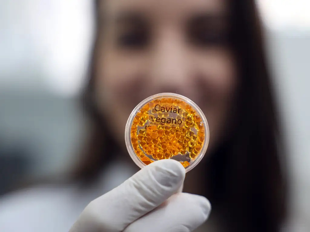 O laboratório de nanotecnologia da Embrapa produz em caráter experimental substitutos veganos de carne vermelha, salmão e lula por meio de uma impressora carregada de massa feita do extrato de sementes. Foto: Valter Campanato/Agência Brasil
