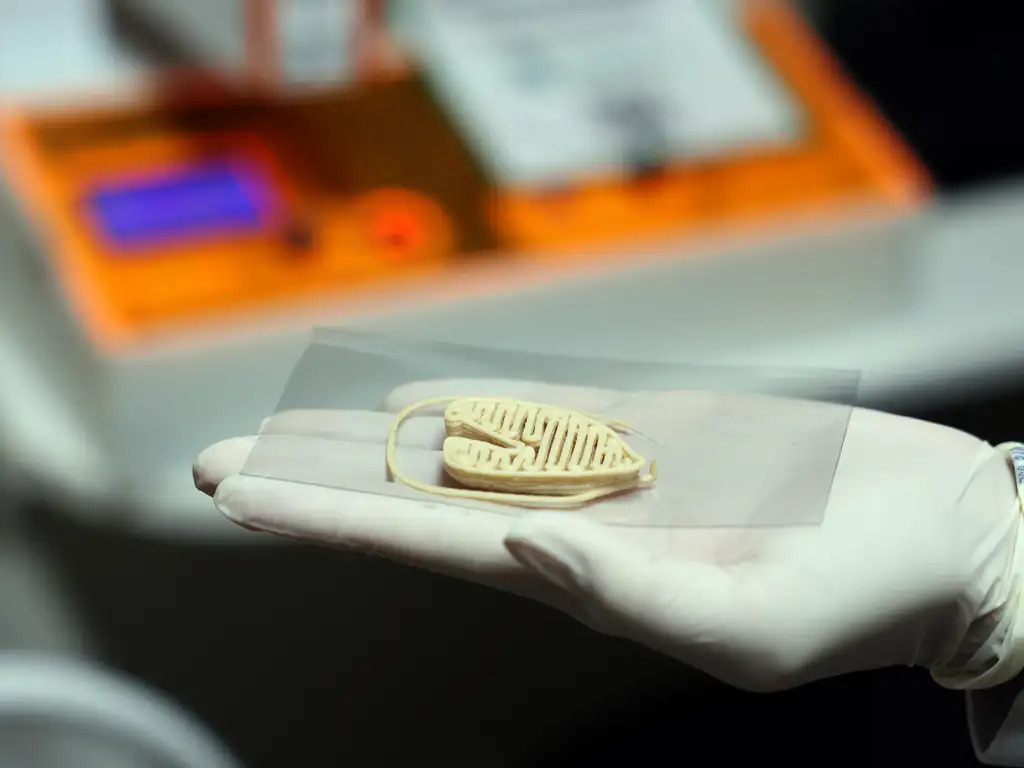 O laboratório de nanotecnologia da Embrapa produz em caráter experimental substitutos veganos de carne vermelha, salmão e lula por meio de uma impressora carregada de massa feita do extrato de sementes. Foto: Valter Campanato/Agência Brasil carne de laboratório