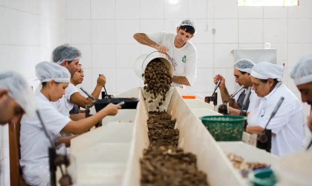 Nova lei inclui cooperativas no FDNE e muda política de desenvolvimento regional