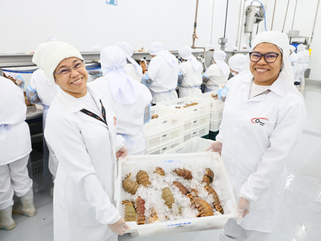 Da tradição à potência econômica: pescado cearense lidera exportações e impulsiona infraestrutura logística