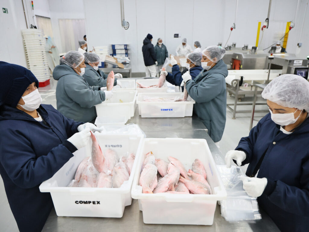 Da tradição à potência econômica: pescado cearense lidera exportações e impulsiona infraestrutura logística