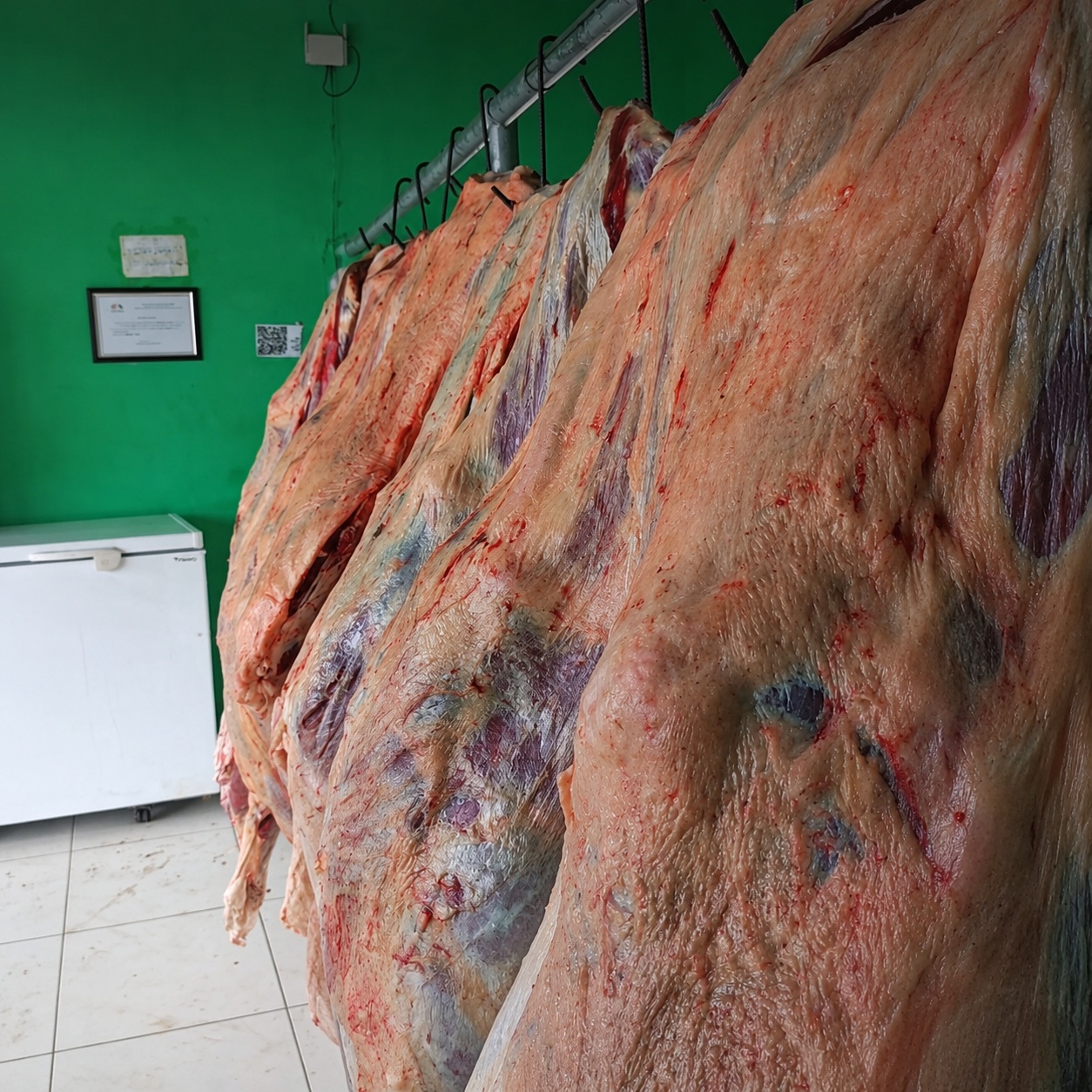 carne