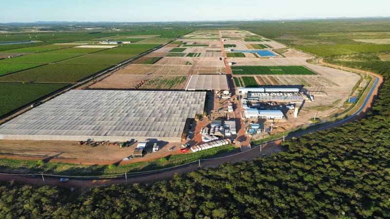 Unidade GDM em Petrolina