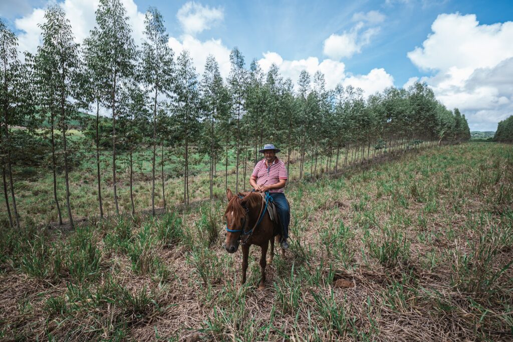 Produtor de eucalipto e pecuarista José Nogueira