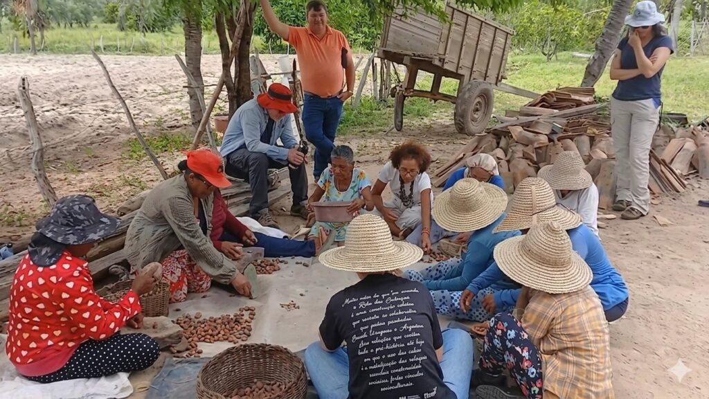 Coquinho do licuri carrega ancestralidade dos povos originários do Vale do Catimbau e hoje gera renda e oportunidades para grupo de mulheres da região - Foto: YouTube/Reprodução