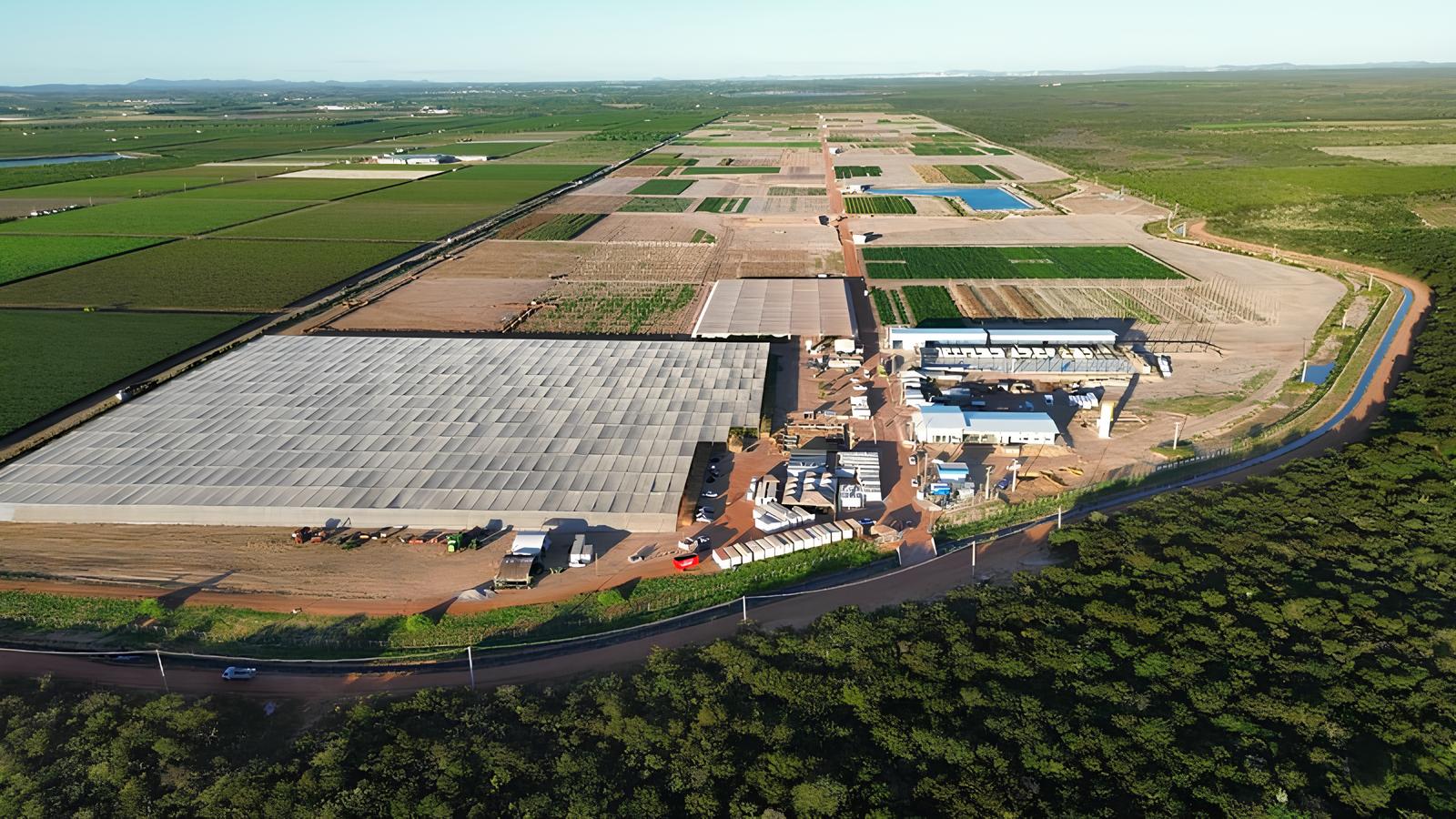 Expansão da estação em Petrolina aumenta cultivo em 125%, com 1,5 milhão de parcelas multicrop, segundo informou GDM. Foto: Divulgação