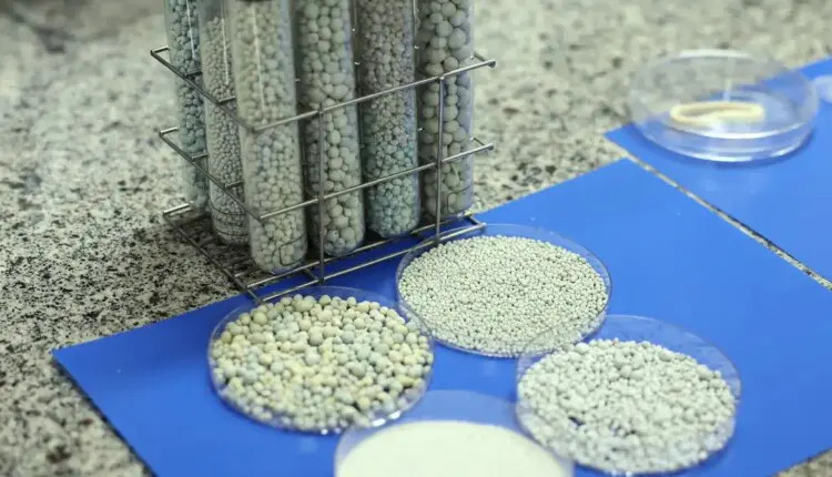 Embrapa cria calcário mais nutritivo e resistente à umidade
Leia mais em: https://comprerural.com/embrapa-cria-calcario-mais-nutritivo-e-resistente-a-umidade