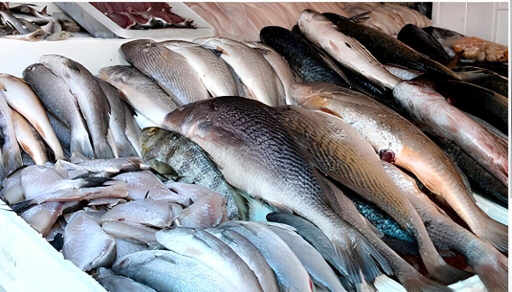 pescados peixes Rio Grande do Norte Natal ciguaterra alerta saúde