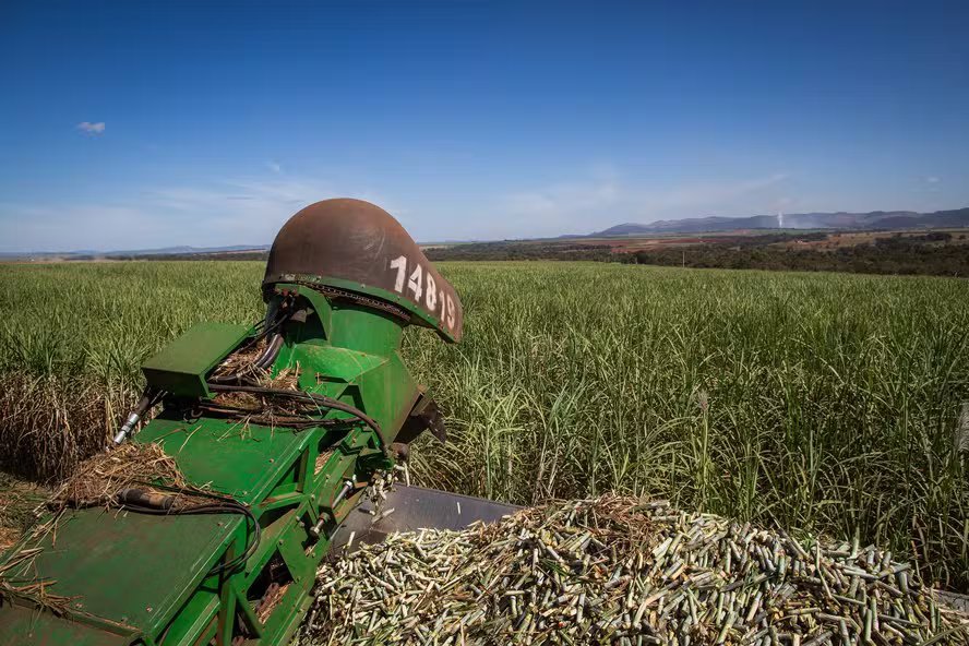 Moagem de cana e produção de açúcar e etanol crescem no Nordeste