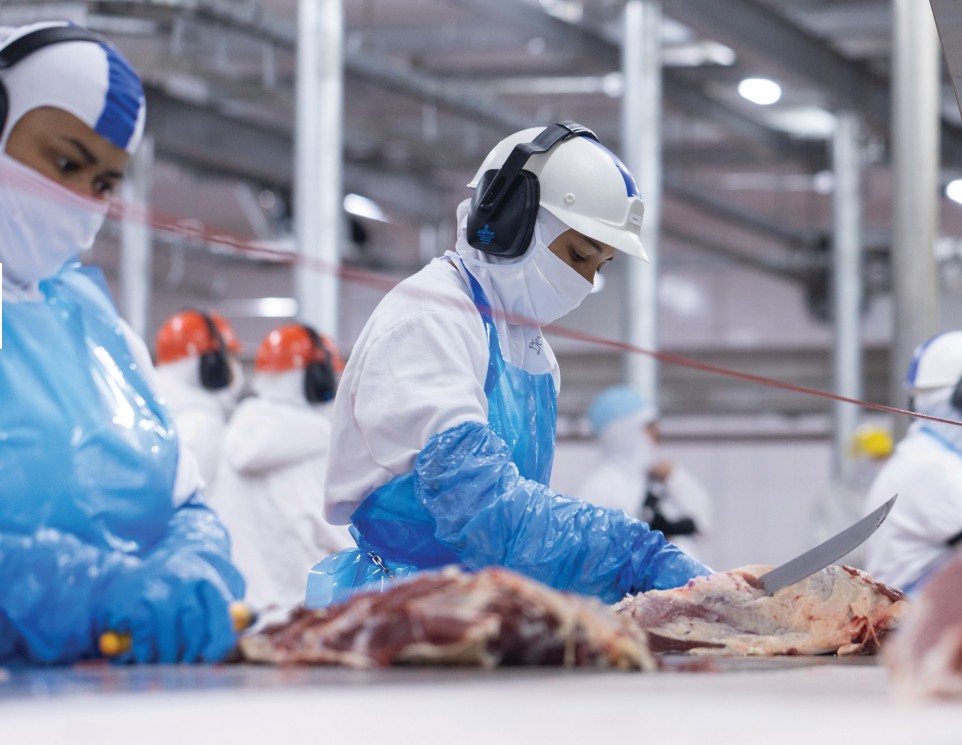 Carcaça, pastagem e frigorífico: o que falta ao Nordeste para exportar mais carne relatório Beef Report 2026