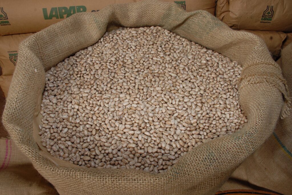 feijão cesta básica alimentação IBGE