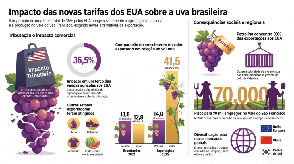 impacto do tarifaço dos EUA na uva brasileira