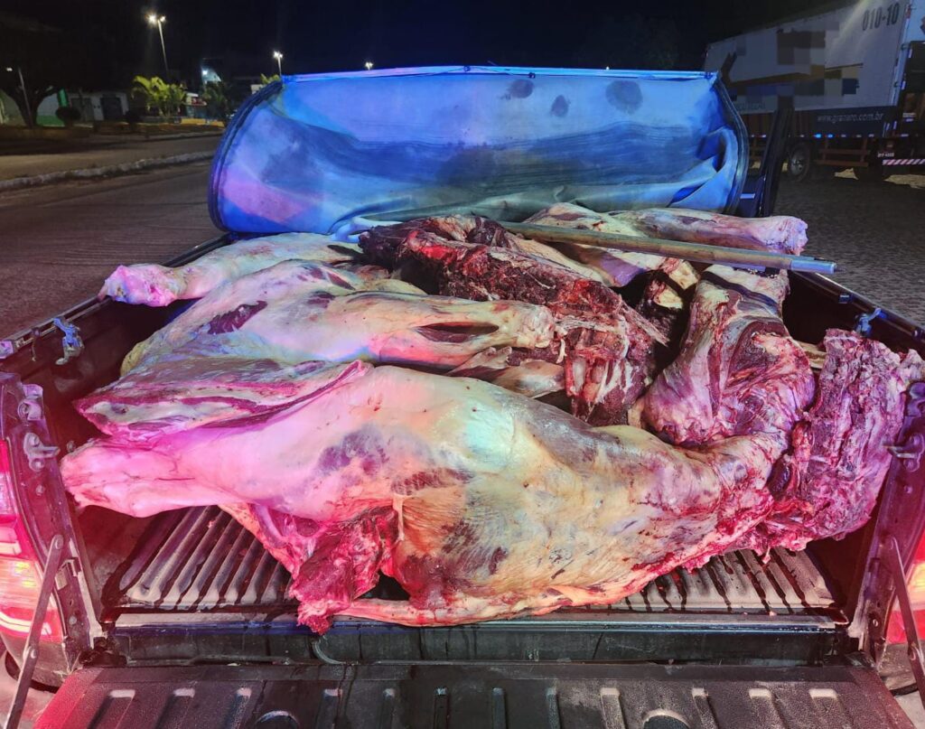 Apreensão de carnes em Garanhuns