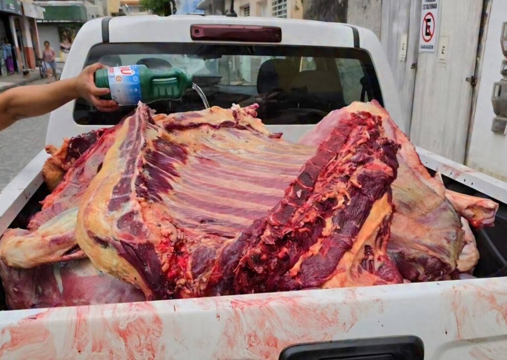 Apreensão de carnes na Bahia