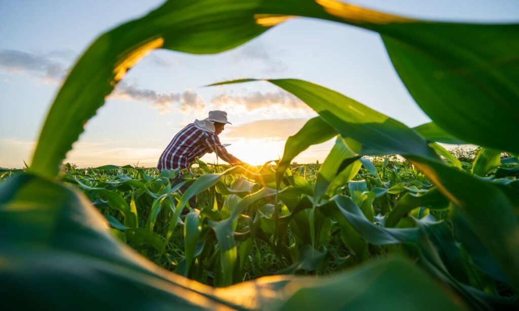 Ministério da Fazenda agro agricultura perdas renegociação mudanças climáticas