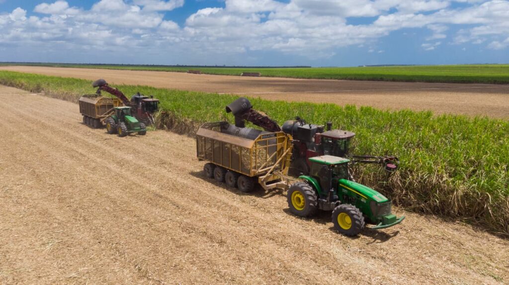 Mecanização da colheita na Usina Caeté, em São Miguel dos Campos, Alagoas