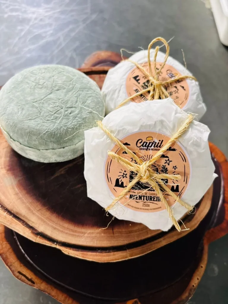 Com "mofo azul", queijo de cabra paraibano O Aventureiro ganha medalha de ouro em mundial