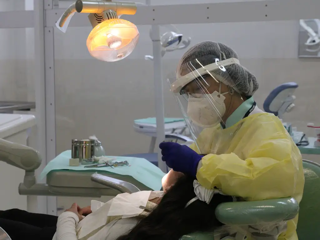 minicursos gratuitos odontologia - Foto:
Rovena Rosa/Agência Brasil